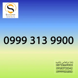 09993139900