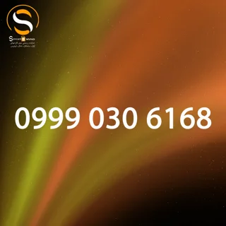 09990306168