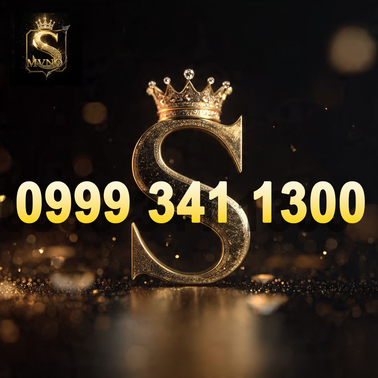 09993411300